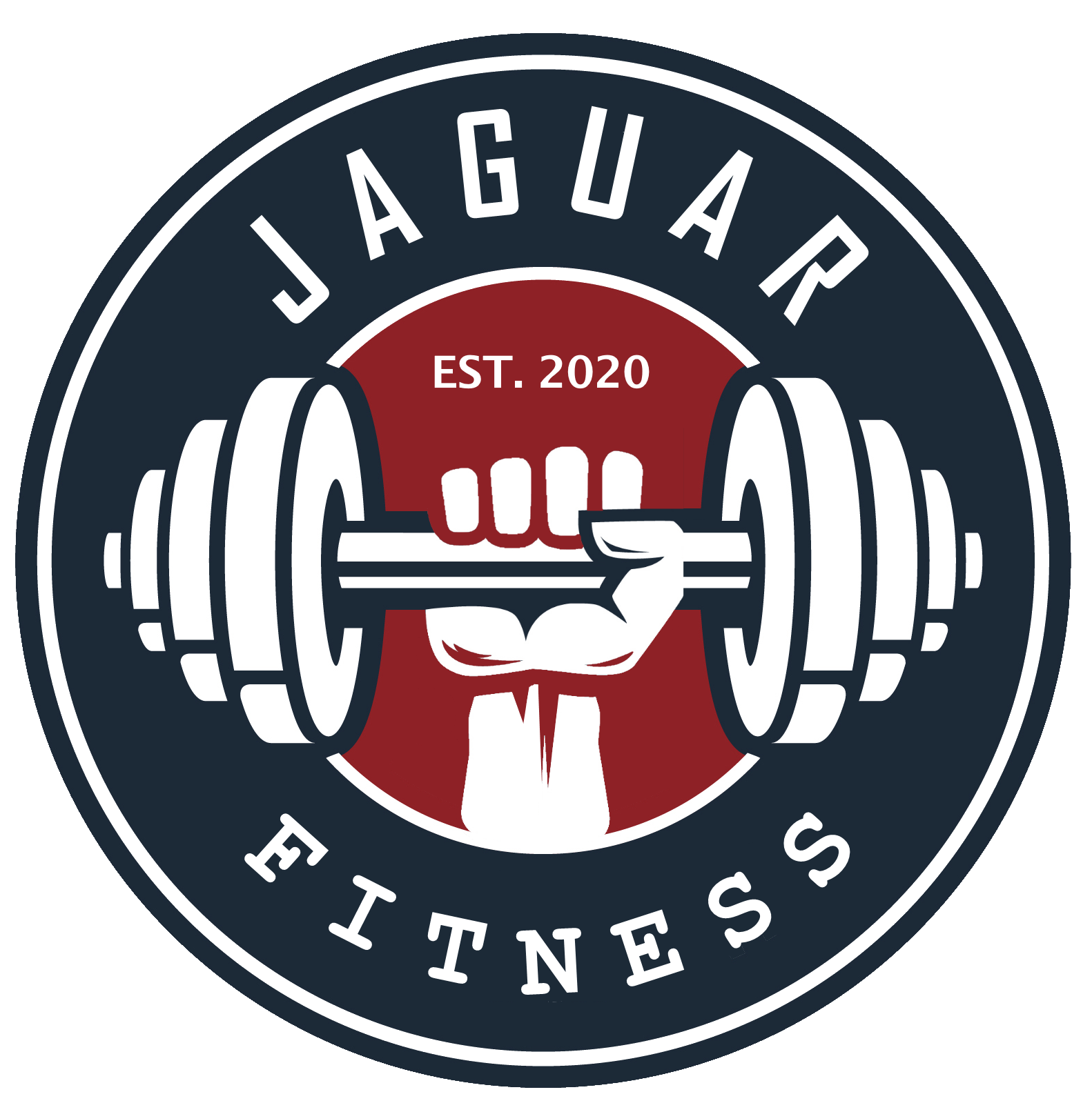 5 Piece Yoga Resistance Loop Band Set - Latex – Jaguar Fitness