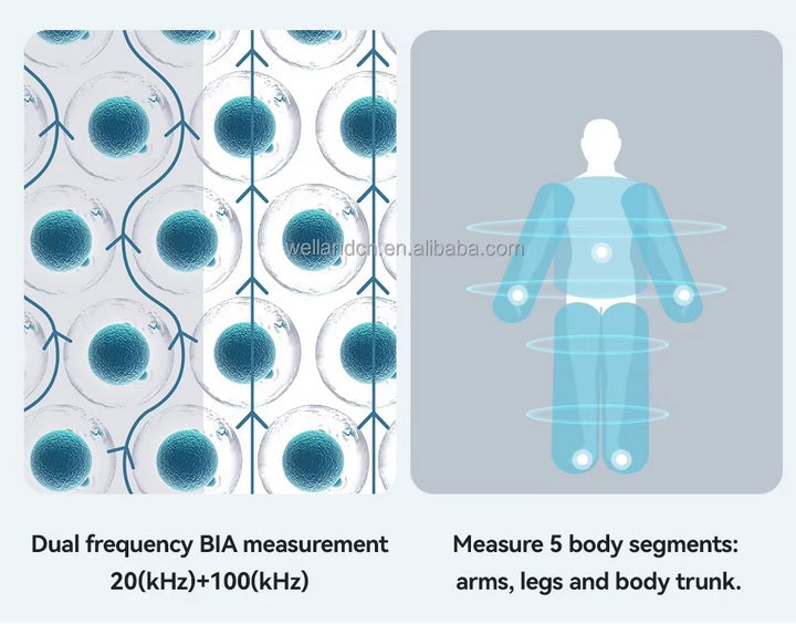 Bio Impedance Smart Scale - Dual Frequency, 8 Electrode